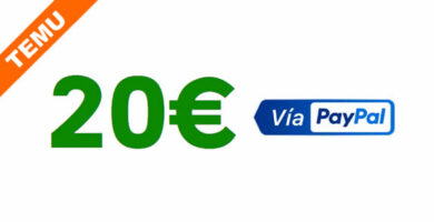 20 euros TEMU