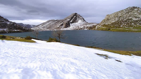 Lagos de Covadonga nevado