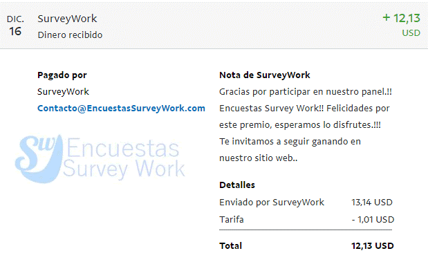 pago diciembre survey work