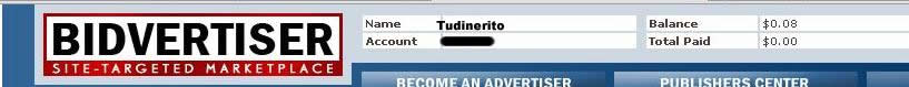 bidvertiser