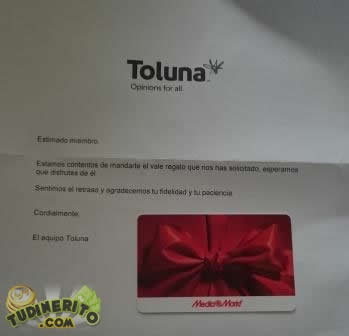 Premio Toluna cheque-toluna