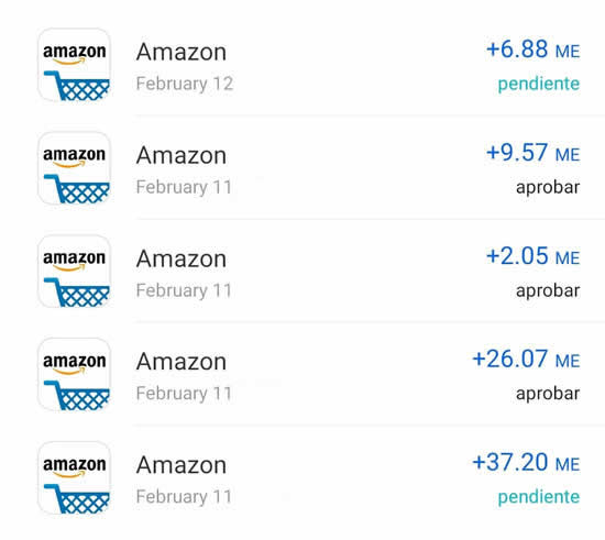Compras hechas en Amazon